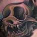 Tattoos - yorkie skull - 62546